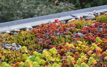 the cost of Woodford Wells green roof installation