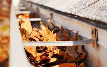 Woodford Wells gutter cleaning companies
