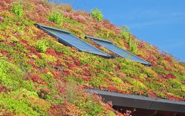 Woodford Wells living roof systems