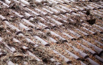 Woodford Wells roof cleaning companies