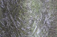 Woodford Wells fibreglass roof work